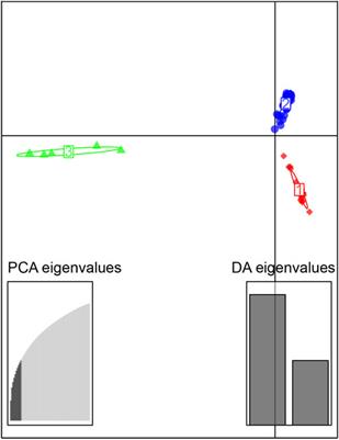 Population Structure, Genetic Diversity, and Conservation Strategies of a Commercially Important Sleeper Fish, Odontobutis potamophilus (Gobiiformes: Odontobutidae) Based on Gene-Capture Data